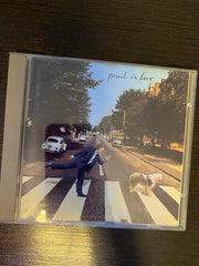 Paul in live