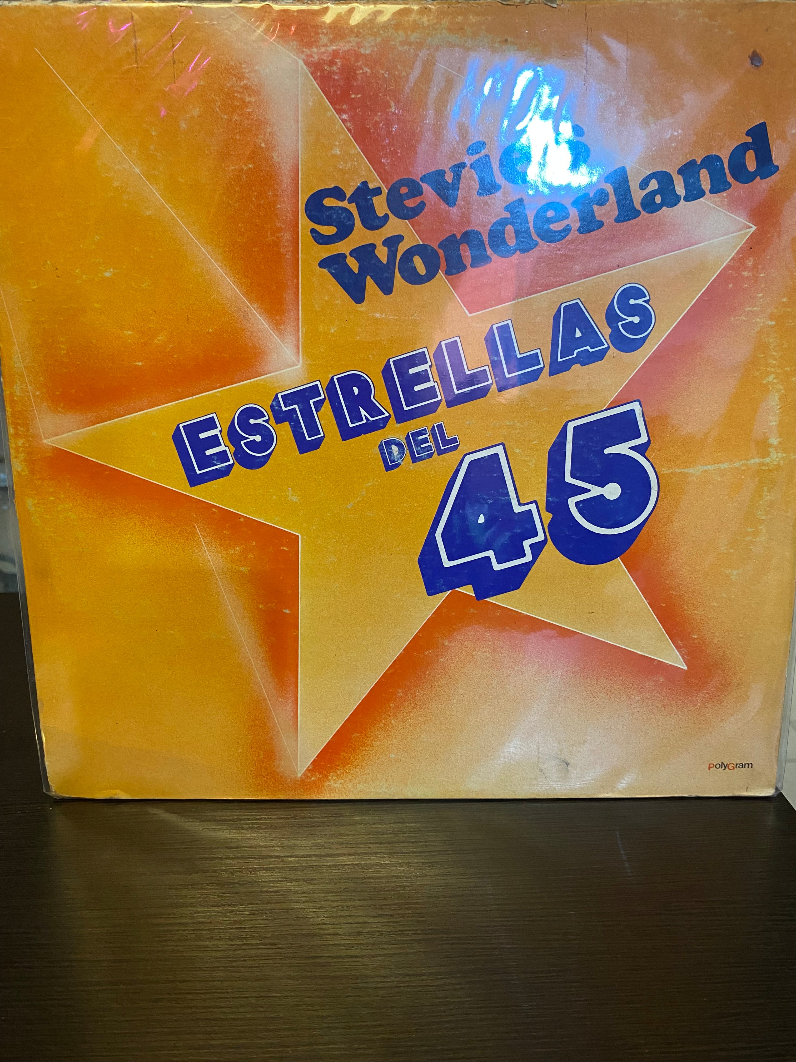 Stevie’s Wonderland
