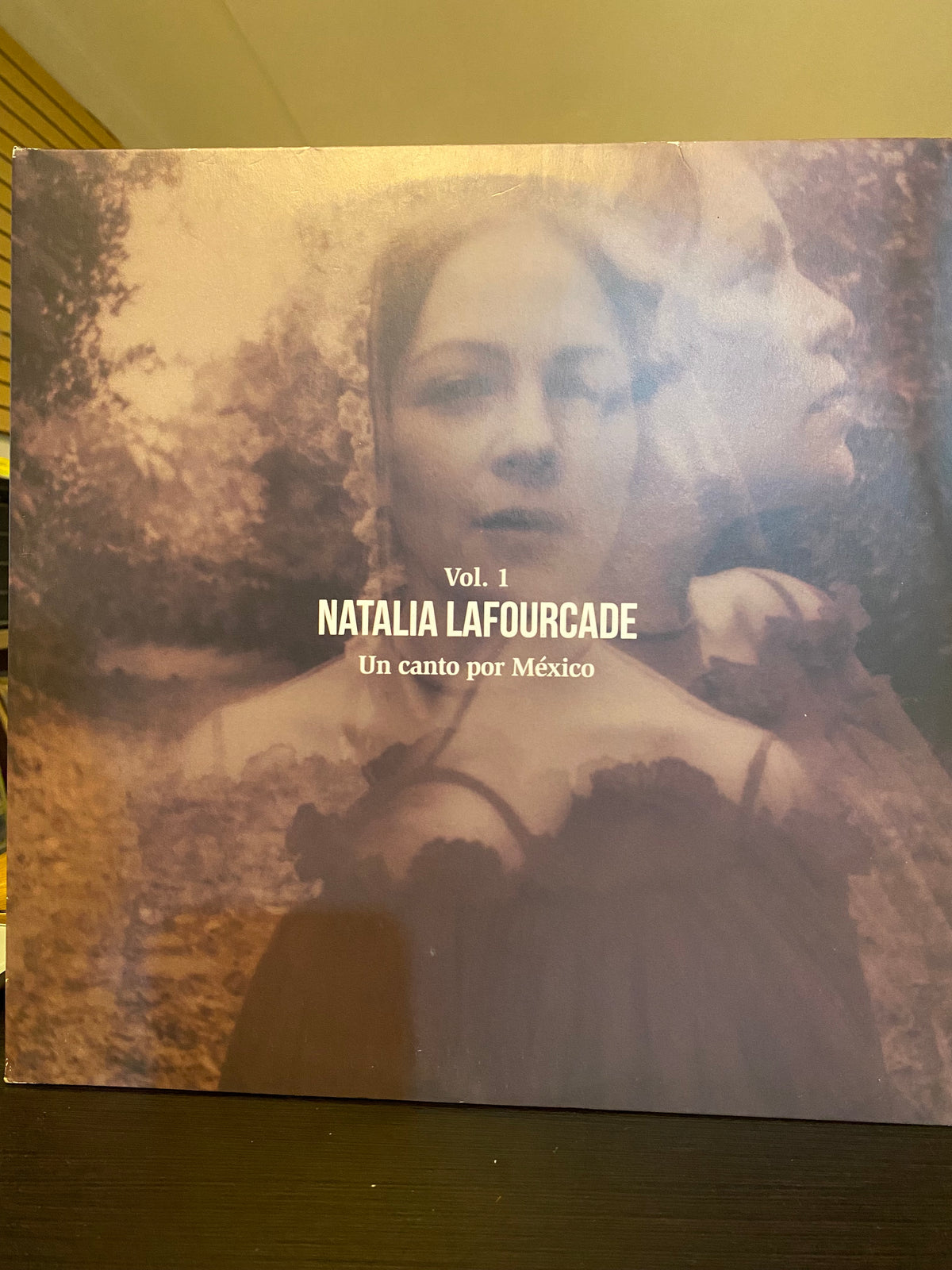 Natalia Laforcade Un canto por México Vol.1