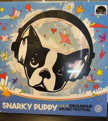 Live at Groundup Music Festival