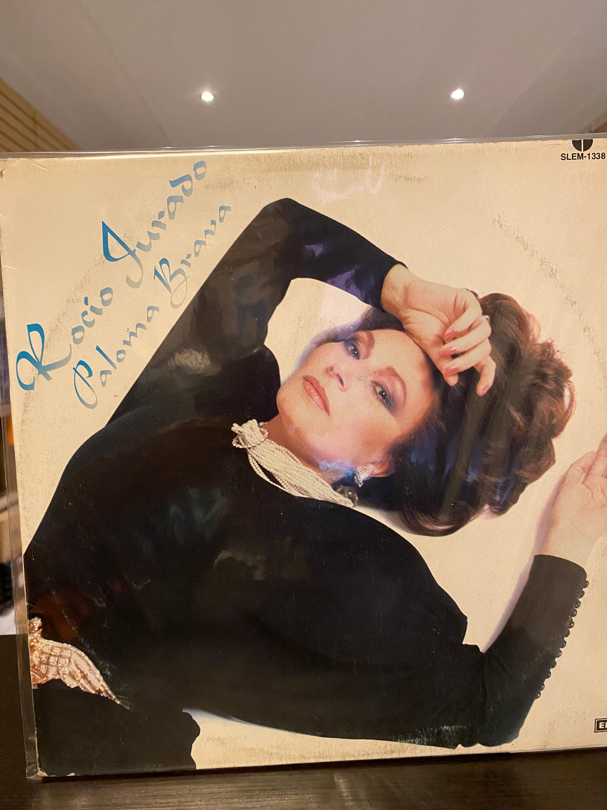 Paloma Brava