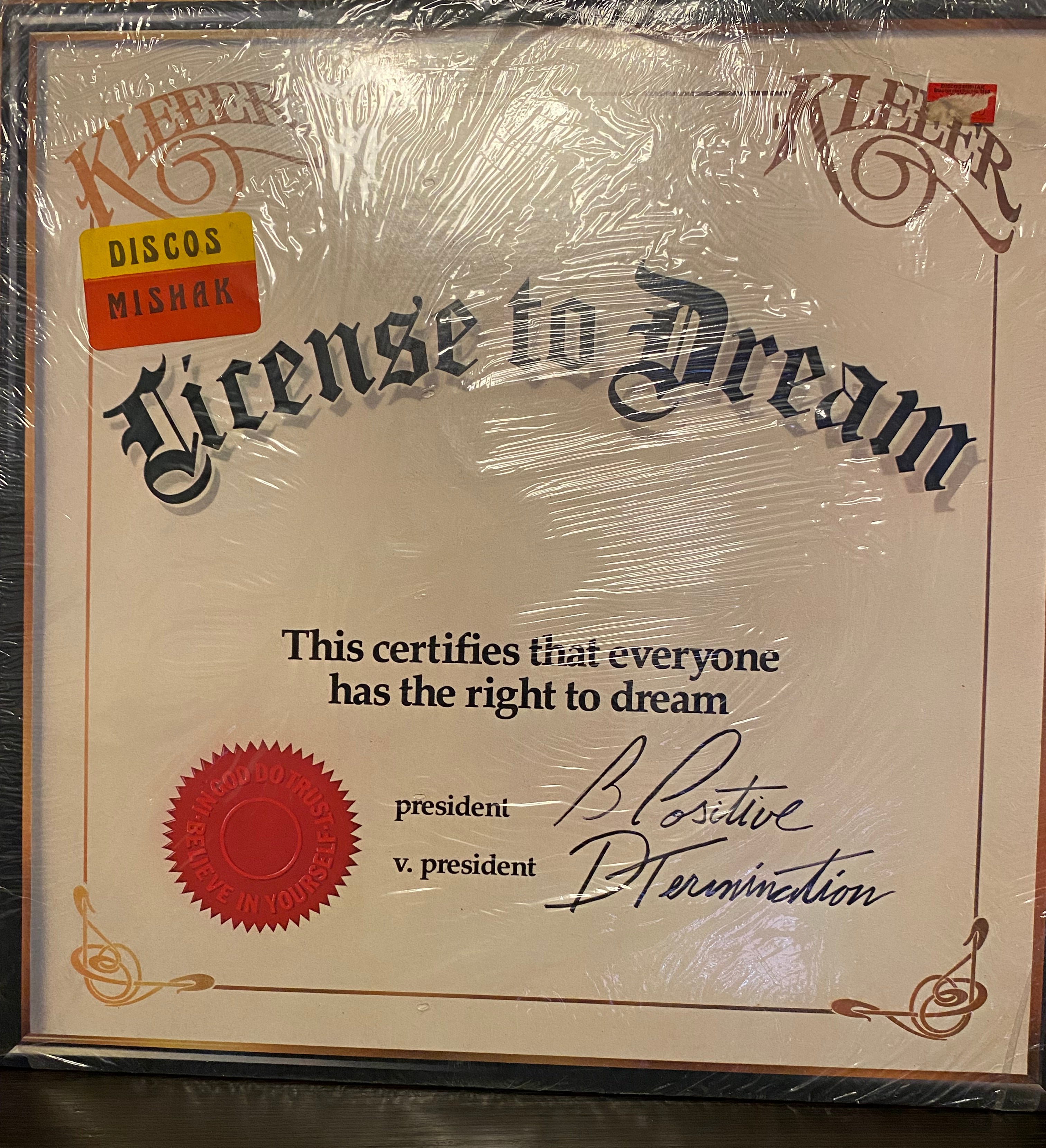 Lincense to dream