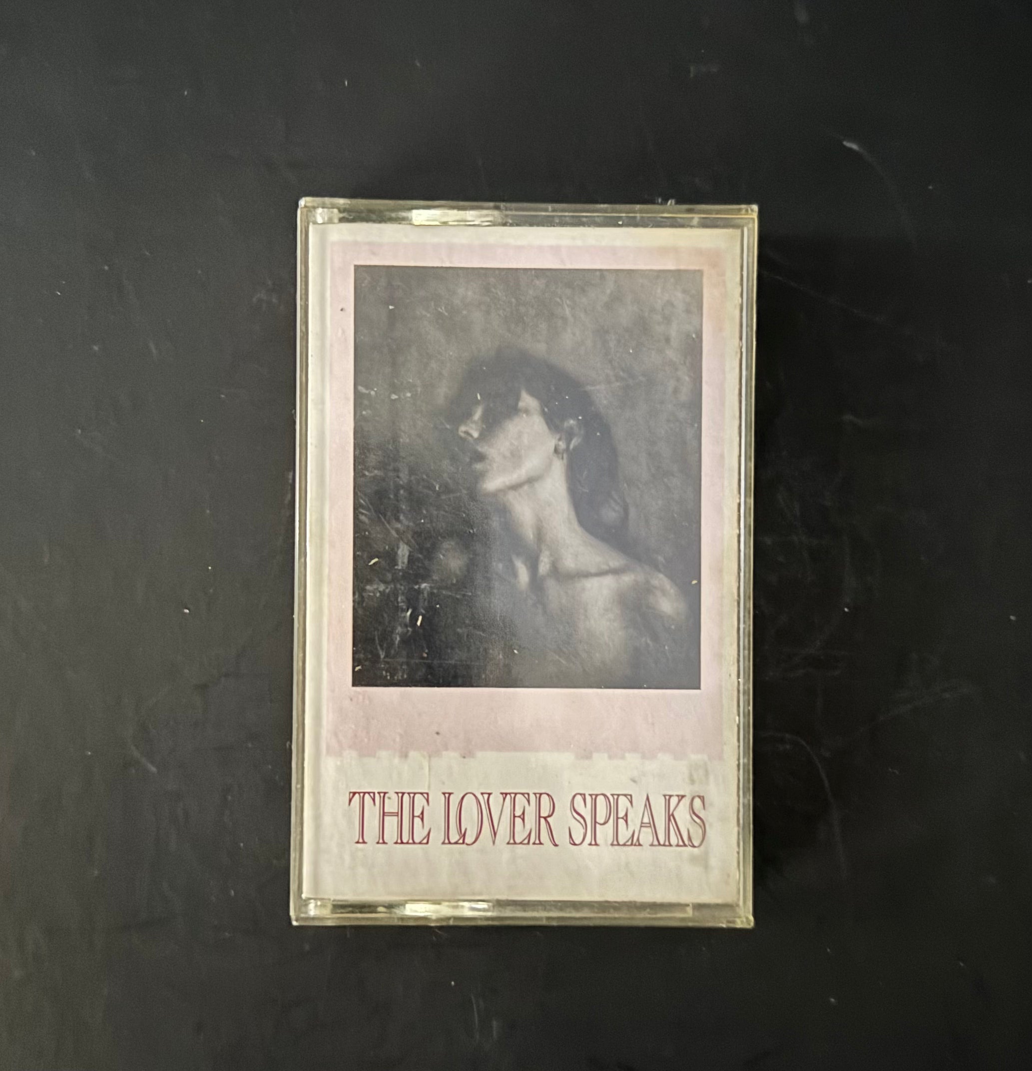 The Lover Speaks