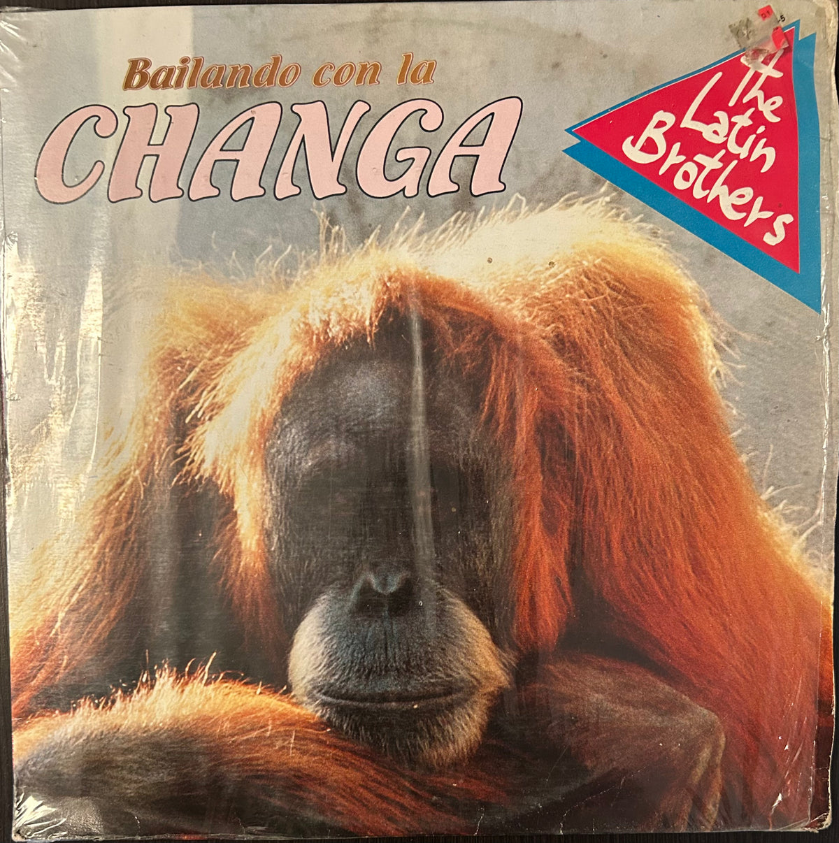 BAILANDO CON LA CHANGA
